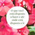 Apometria Quântica e Multidimensional: O Guia Definitivo-Cura Energética e Expansão da Consciência O que você está disposto a fazer e até onde está disposto a ir 120x120 - Apometria Quântica e Multidimensional: O Guia Definitivo-Cura Energética e Expansão da Consciência